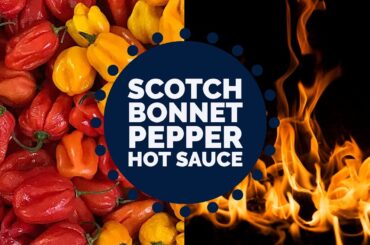 Scotch Bonnet Pepper & Roasted Garlic Hot Sauce | Low Sodium Recipe
