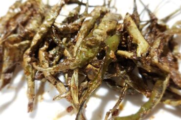 fry green chilli recipe | easy and tasty | #short | ZAYKA-E-ALIG