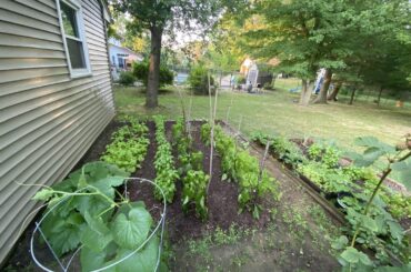 Help me figure what to do.