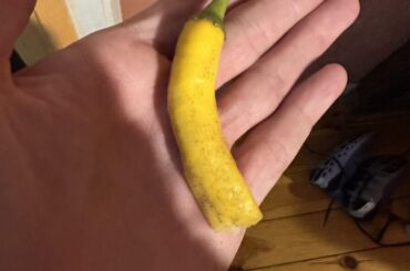 What type of pepper is this!?