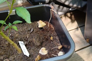 Should I be worried?