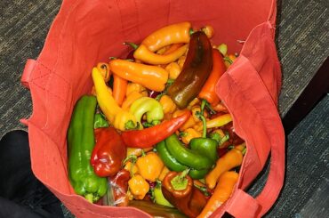 What a haul ! Fellow pepper heads rejoice !