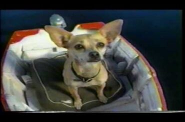 Late 90’s Taco Bell Chihuahua Commercial featuring Johnny Nashville from Jackass movies