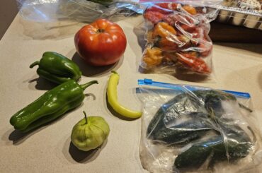 Veggies on the left are fresh, peppers in the bags are frozen from last year. Can I use the frozen peppers still? Are the green fresh peppers good for salsa? I'm a beginner.