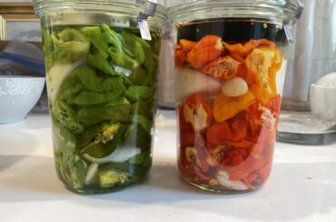 Hot Sauce is Coming! Gator Jigsaw and Chocolate 7 Pot (Left) and Scorpion, Reaper, Habanero (Right)