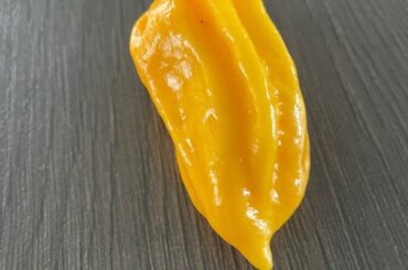 What kind of pepper is this