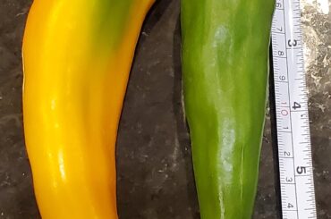 Pepper ID?