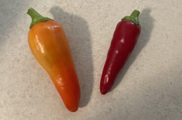 What are these peppers?