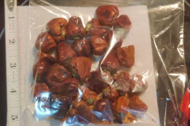 Can someone help us ID these dried peppers?