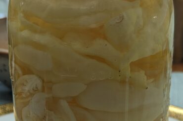 Testing out a White Ferment.