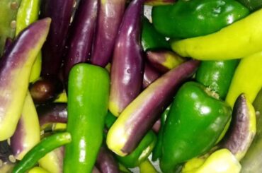 Last year's harvest