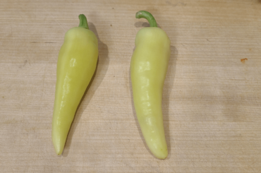 White jalapeno?