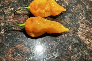 Help! I bought these at a farmer’s market but the name escapes me; farmer described it as a smokey Habanero pepper