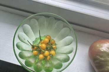 The things I do for a handful of peppers