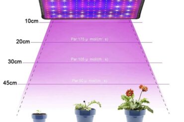 Will this grow light be somewhat good?