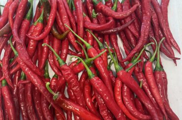 Oh Say Cayenne You See