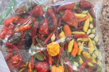 First haul of the season!!! Looking gooood