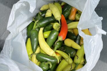 What kind of peppers are these?