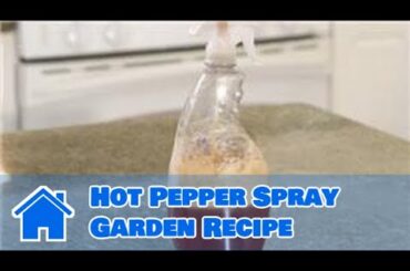 Kitchen Remedies for your Garden : Hot Pepper Spray Garden Recipe