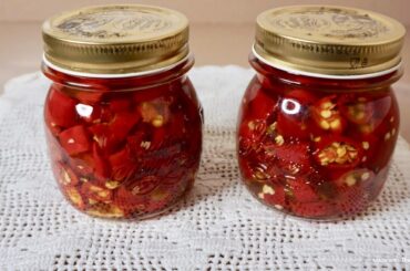 Italian Oil Pepper Recipe