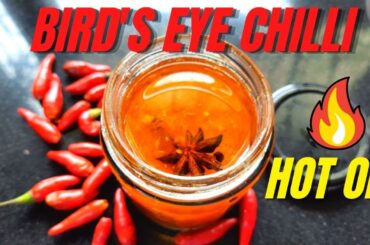 Bird's Eye Chili HOT OIL || Super Easy & Quick recipe || Immunity Booster
