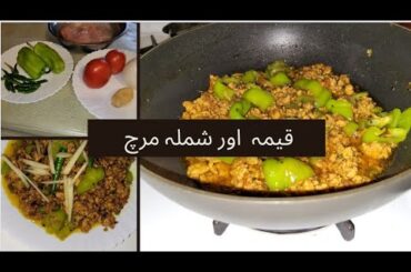 How to Make Keema with Green chili I Dlicious Keema Recipe Home Cooking