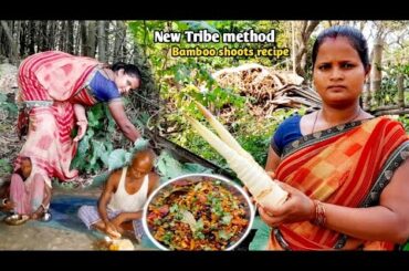 Bamboo shoots recipe | Harvesting huge bamboo shoots - Chilli bamboo shoots making process- cooking