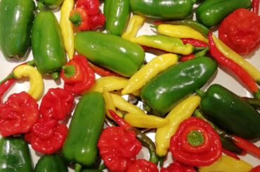 Im so happy, first fruit of my first year growing peppers :)