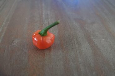 Bode chili from Brazil.