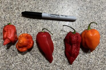 Spicy pepper bundle ID help