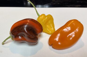 Candy Cane Chocolate Cherry, Trinidad Perfume, and Yummy Orange pepper trio