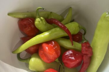 Haul from my sisters garden (cross post peppers) suggestions?