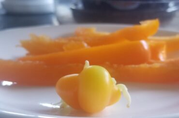 Can i grow this pepper fetus?
