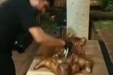 Chopping up a cochinito with a plate