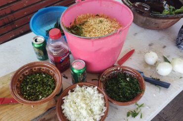 Esquites