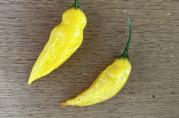 Are these Aji Pineapple ?