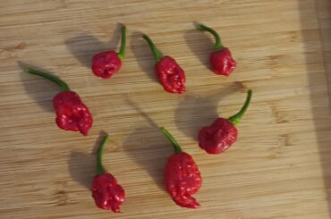 What type of peppers are these?