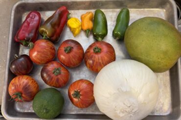 Mango & first ripe peppers Salsa