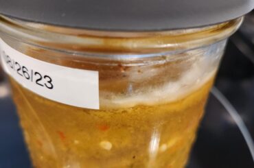Mold on Pepper mix ferment. HELP see post