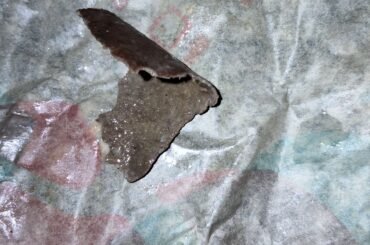 Leathery meat in taco?