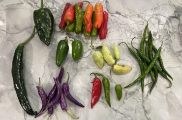 Need help with IDs