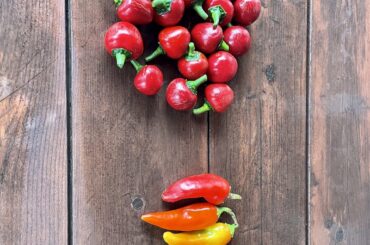 Recently became aware of peppergate, these are my “sweet peppers”