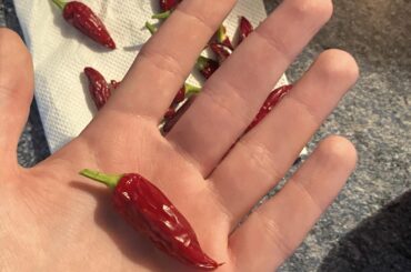 Pepper id
