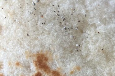 Metal Shavings In Crunch Wrap Today