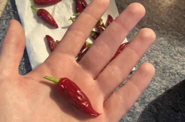 Pepper id