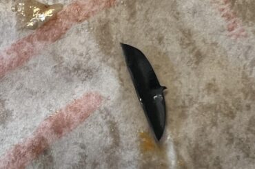 Mmm just what I love in a chalupa