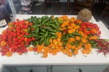 Last Large Harvest of the Year