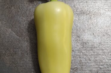Identification Please