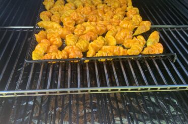 and onto the smoker