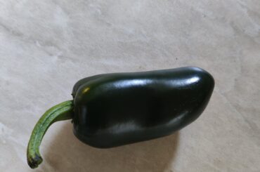 My first Jalapeno.